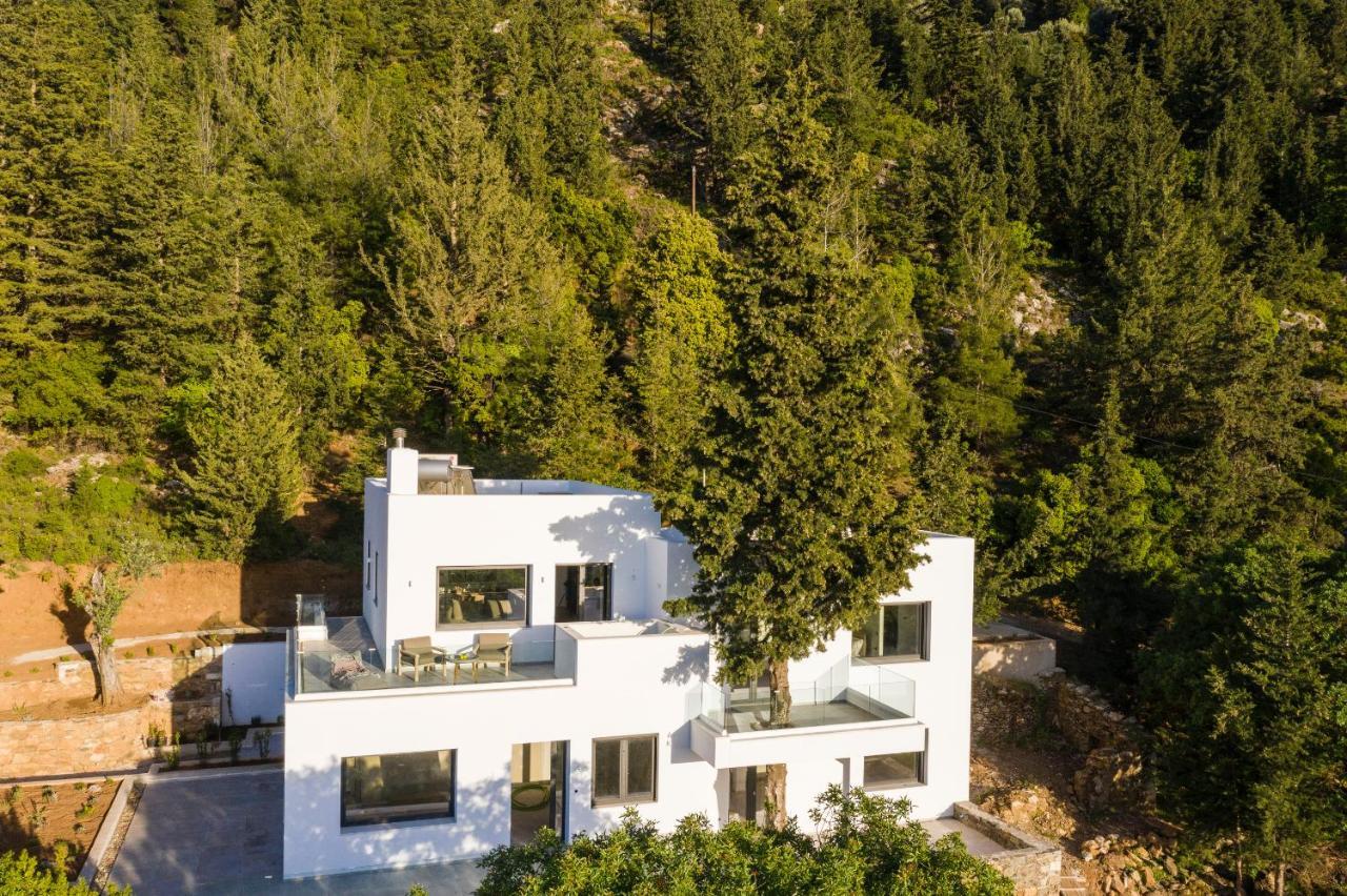 Forest View Villas 1 Lagoudi Zia Εξωτερικό φωτογραφία